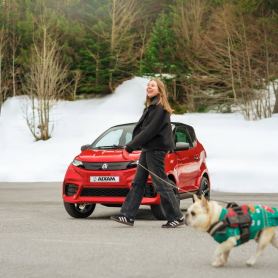 Un dise&ntilde;o que hace que hasta tu mejor amigo diga... &iexcl;GUAU! 🐶🚗